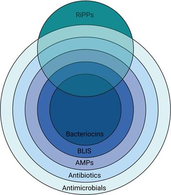 Beneficial modulation of human health in the oral cavity and beyond using bacteriocin-like inhibitory substance-producing streptococcal probiotics